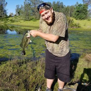 Meet your Posher, Robert